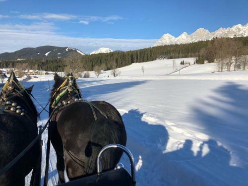 Hotel Landhaus L�hrmann