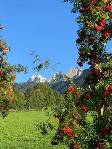 Hotel-appartement Hochk�nig