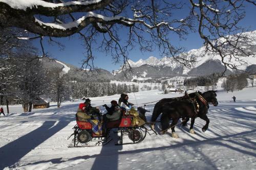 Apartment �sterreich
