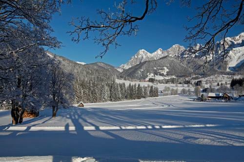 Apartment �sterreich