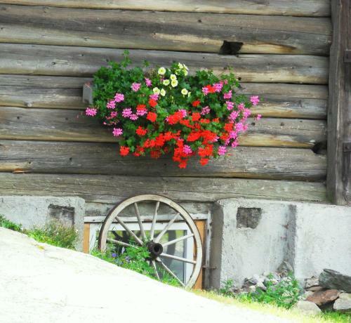 Apartamento Sattlehnerhof