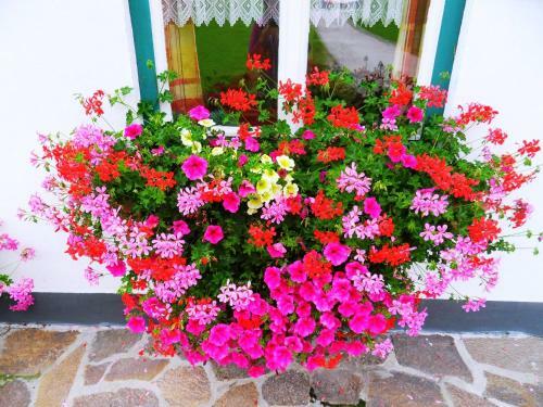 Apartamento Sattlehnerhof