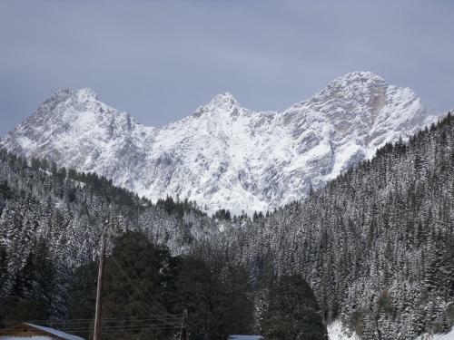Apartamento Sattlehnerhof