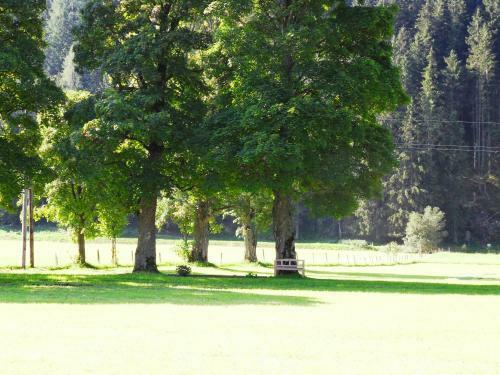 Apartamento Sattlehnerhof
