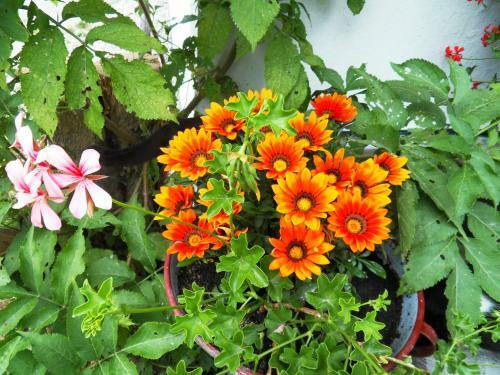 Apartamento Sattlehnerhof