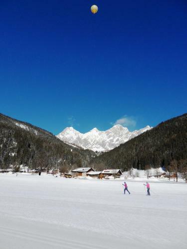 Apartamento Sattlehnerhof