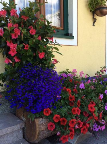 Hostal Bio-bauernhof Greimelbacherhof