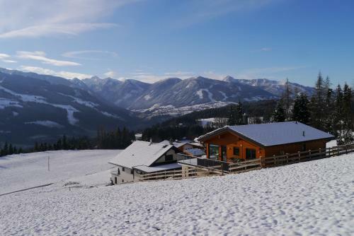 Austrian Alpine Apartments