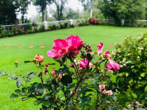 H.m.h Lodges & Hotel Resort