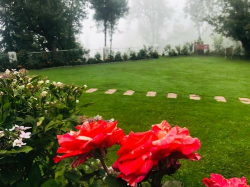 H.m.h Lodges & Hotel Resort