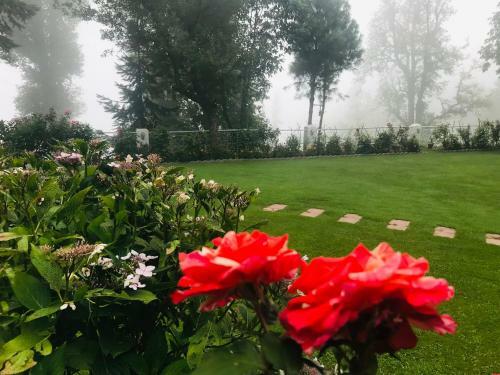 H.m.h Lodges & Hotel Resort