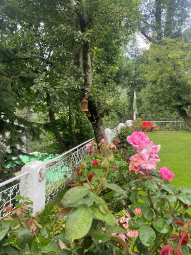 H.m.h Lodges & Hotel Resort