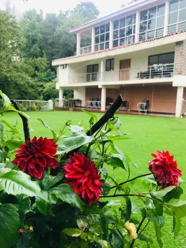 H.m.h Lodges & Hotel Resort