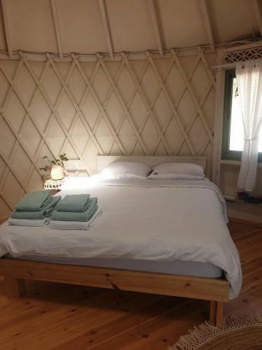 Splendor Of Dawn - Yurt In The Nature