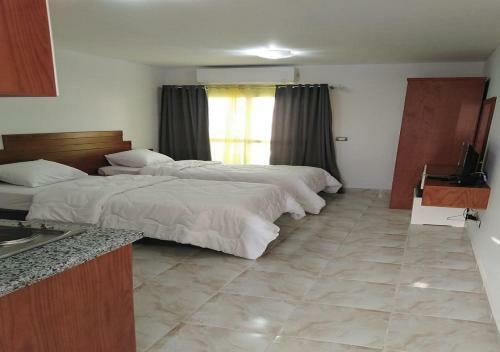 Tiba View Apartment