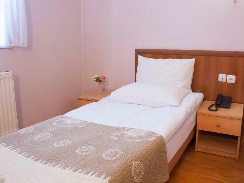 Hotel Skib