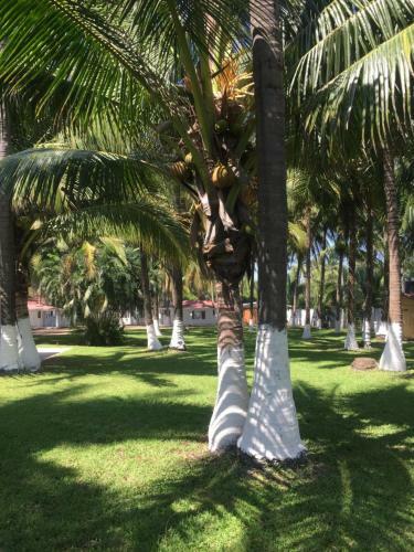 Apartamento Nichos Beach Villas