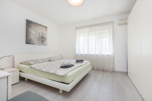 Apartamentos Queen Of Labin
