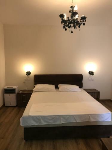 Hostal Pensiunea Aliner