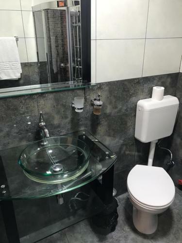 Hostal Pensiunea Aliner
