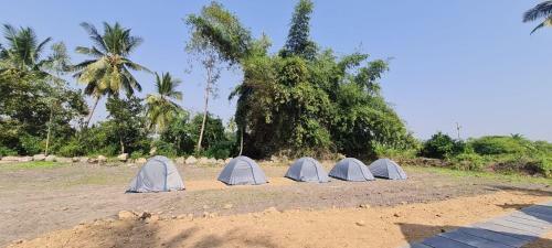 Hostal Coconut Tree Guest House