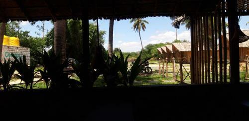Hostal Coconut Tree Guest House