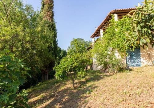 Villa With Private Garden