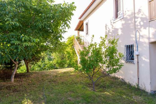 Villa With Private Garden
