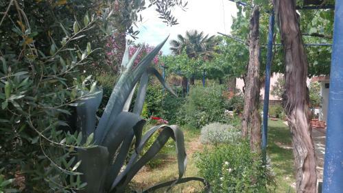 Apartamento Rivamare - Rovinj