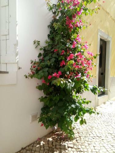 Apartamento Brisas Da Ria