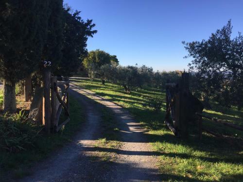 Giardino Di Pietre