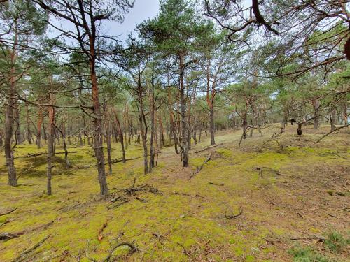 Hostal Mtk Pokoje I Apartamenty