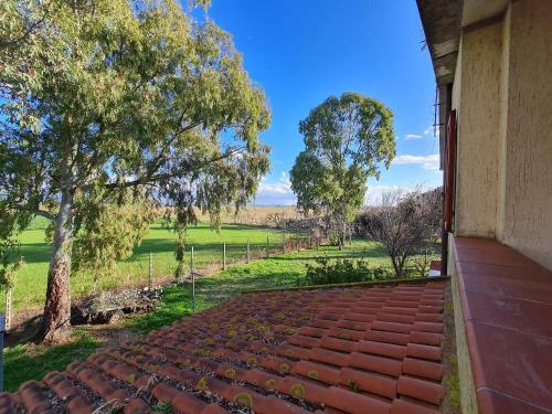 Bed & Breakfast Guesthouse L'acquarello