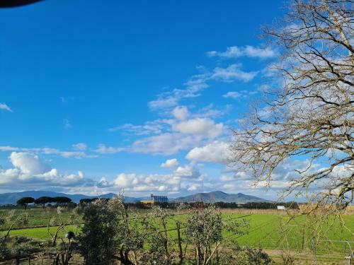 Bed & Breakfast Guesthouse L'acquarello