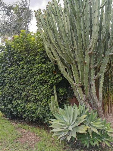 Bed & Breakfast Villa Grande