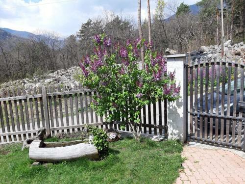 Apartamento La Meisun Di Don