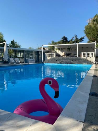 Boutique Hotel La Merveille
