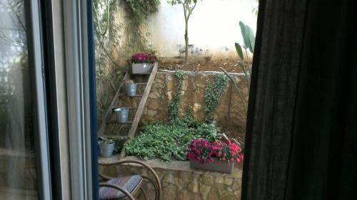 Villetta Silvana Tra Mare E Pineta