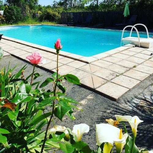 Apartamento La Fontenelle Meubl�