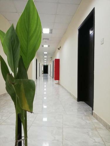 ?????? ????? ???????? Babylon Furnished Apartment