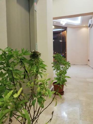 ?????? ????? ???????? Babylon Furnished Apartment