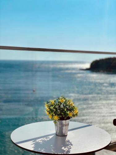 Bed & Breakfast Ionian Terrace