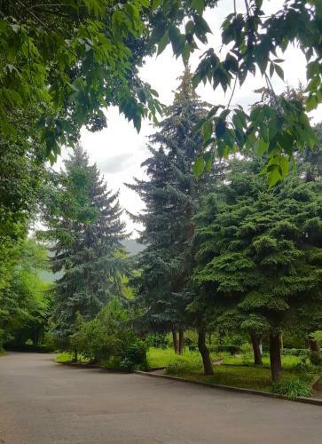 Vanadzor Armenia Hotel