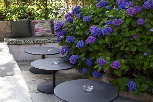 Apartamento Residence Albion, Ajaccio