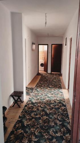 Hostal 202