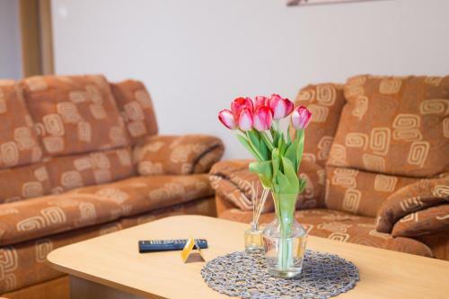 Apartamento Balkonett Vend�gh�z