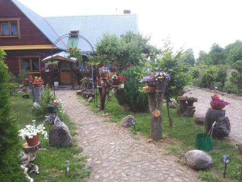 Olsik
