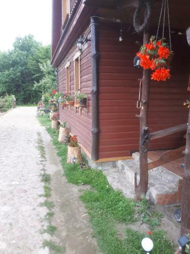 Olsik