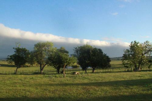 Bed & Breakfast Posada El Campo