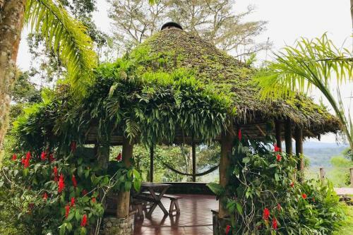 Caba�a En Macas-ecuador